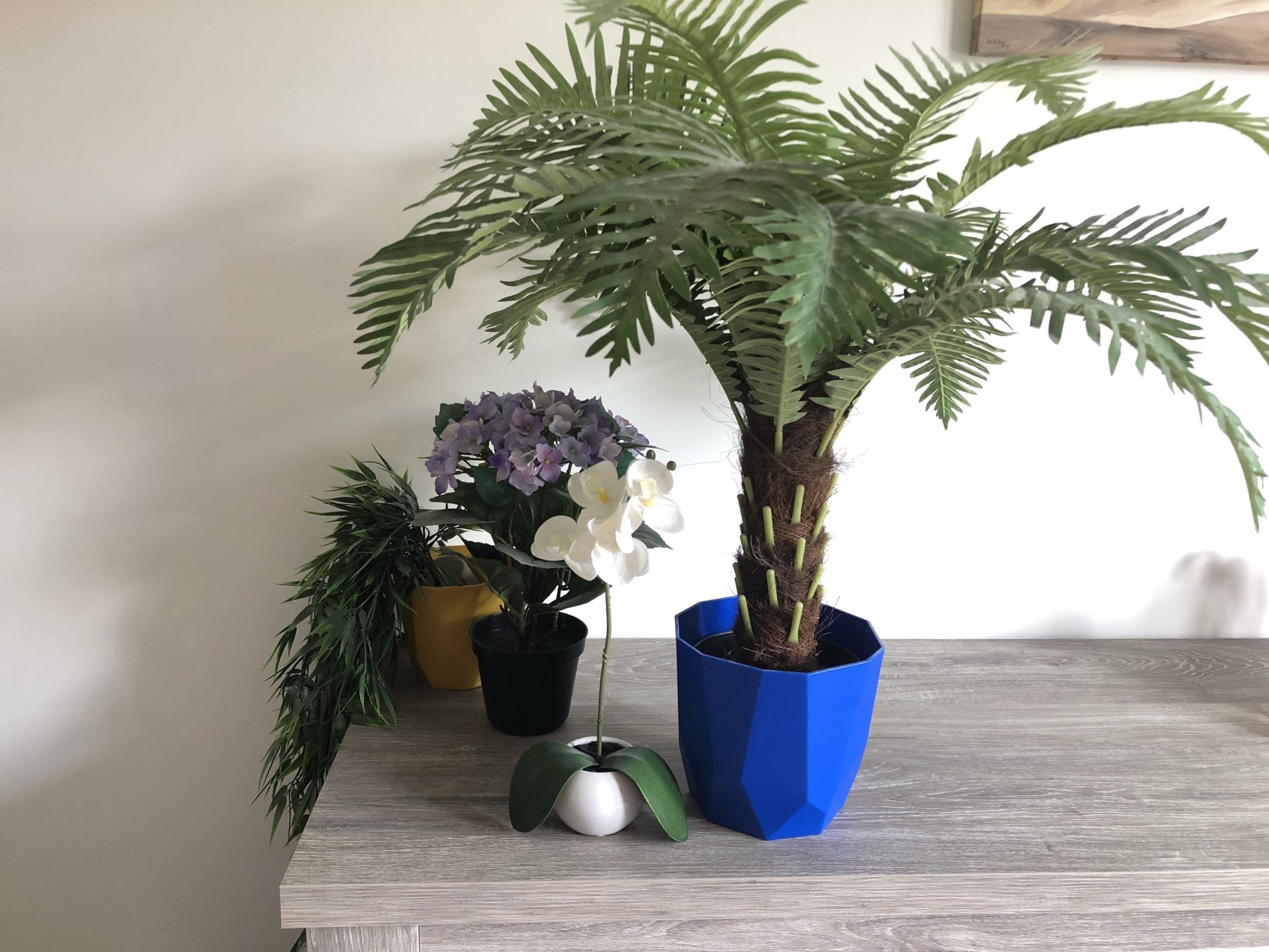 Binnen planten
