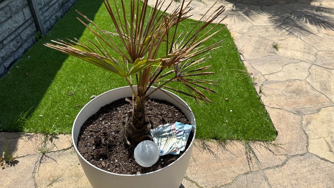 Tuin update en kosten