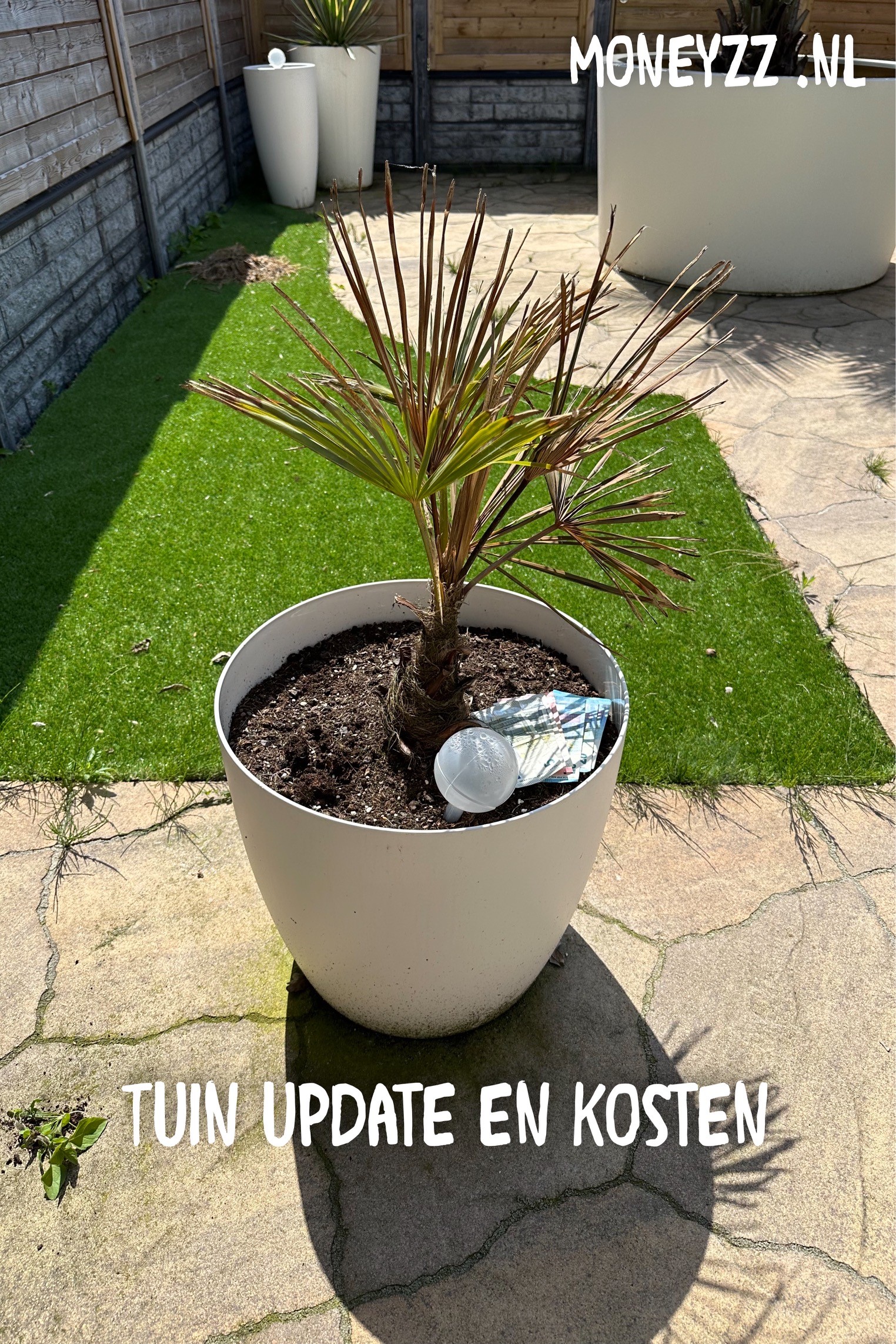 Tuin update en kosten