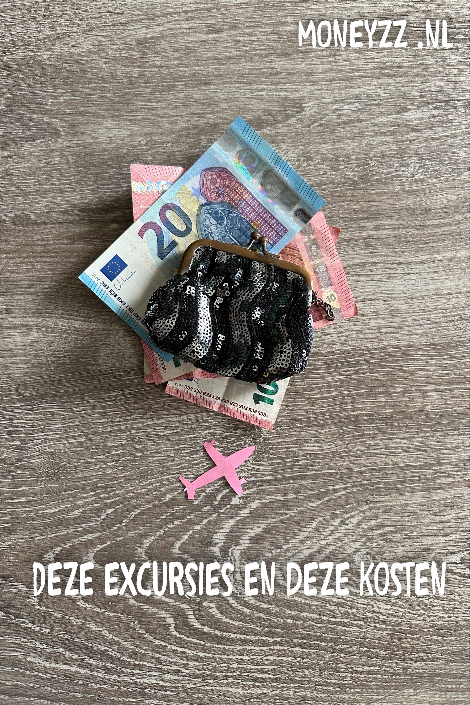 Deze excursies en deze kosten