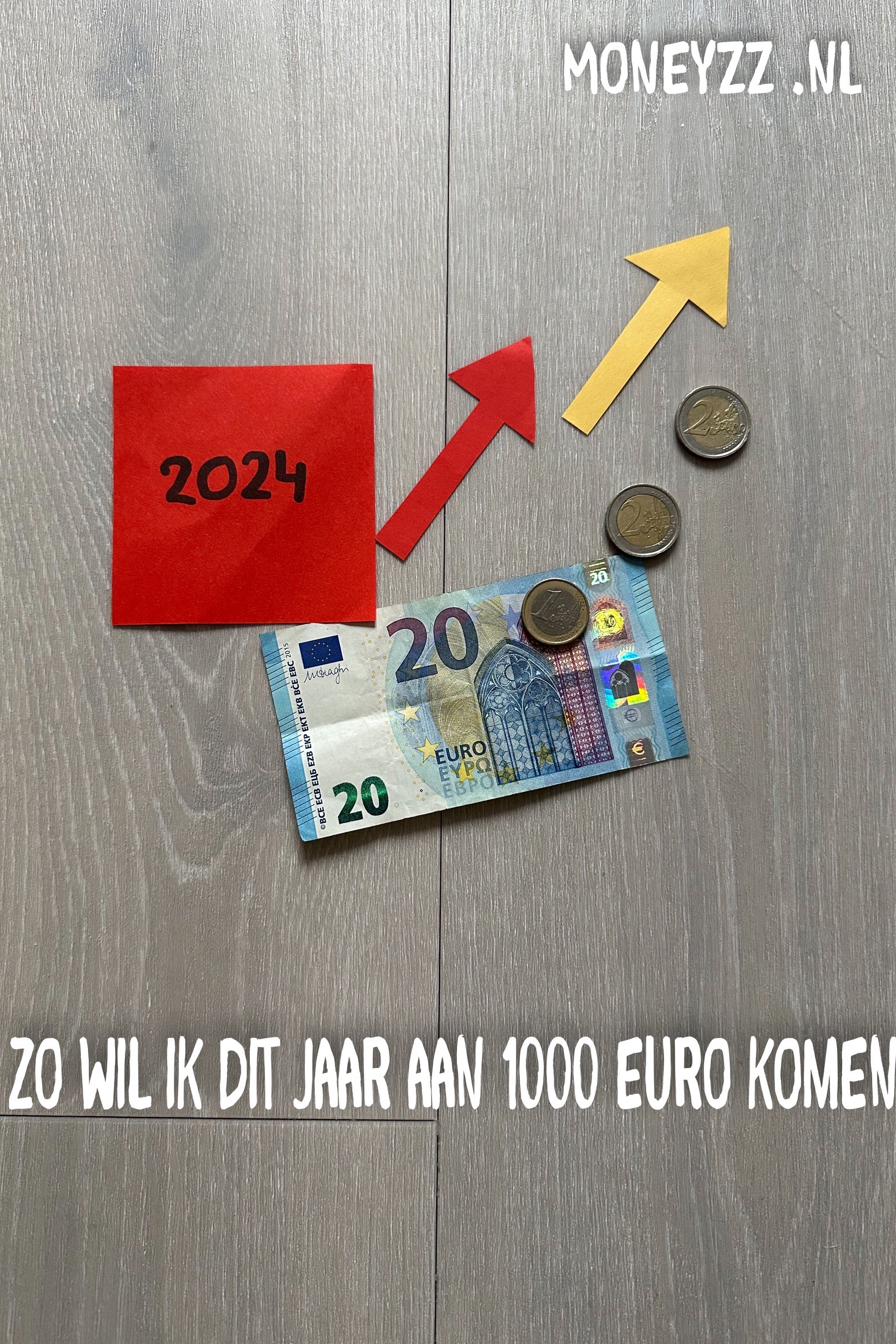 Zo wil ik dit jaar aan 1000 euro komen