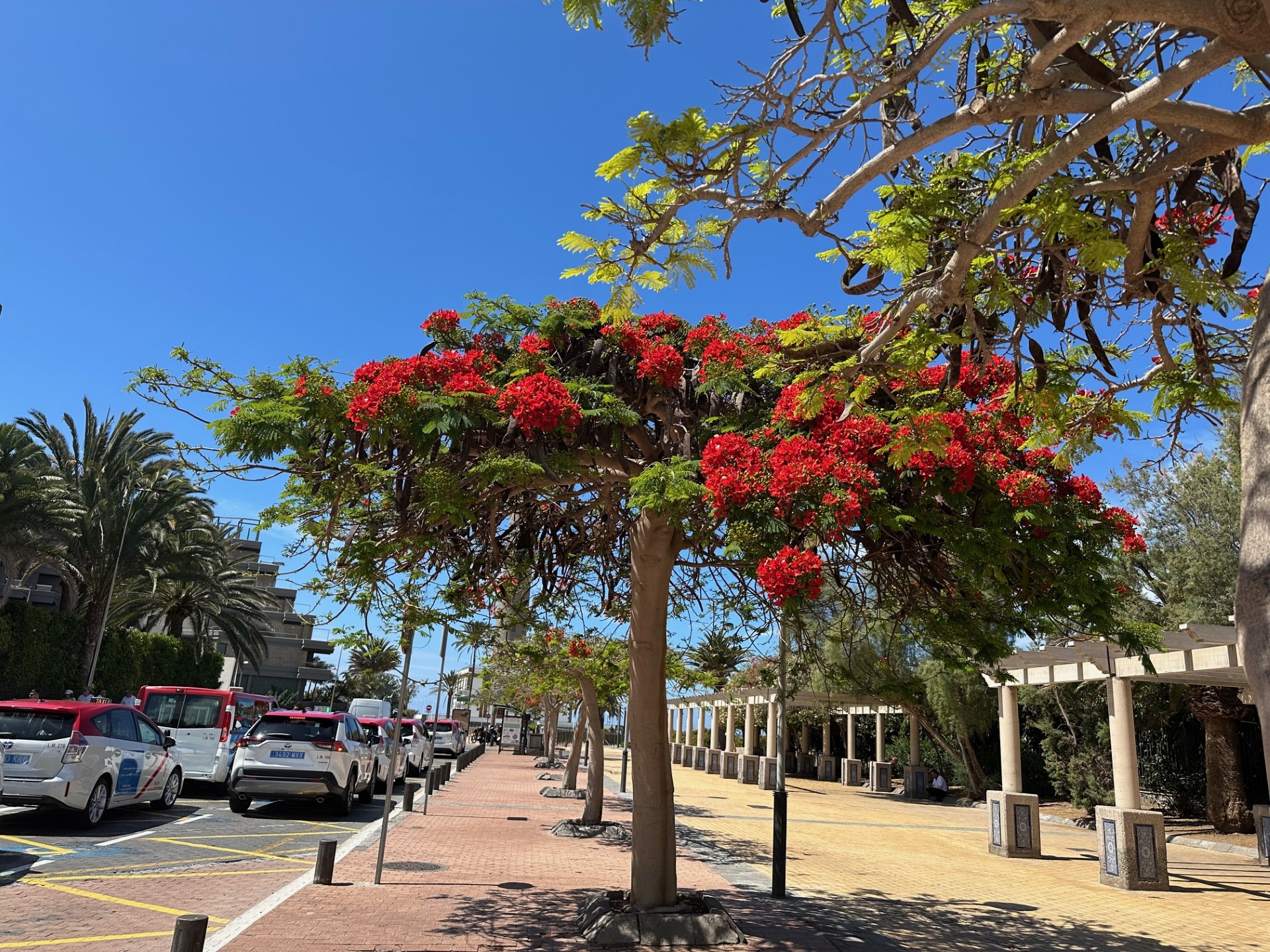 Mijn uitgaven Gran Canaria april 2025