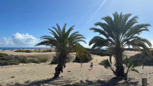 Weer terug, of toch niet?